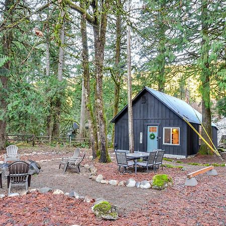 Hike, Ski And Explore Rhododendron Forest Retreat! Villa Exterior photo